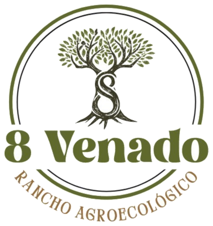 Café de semilla de ramón