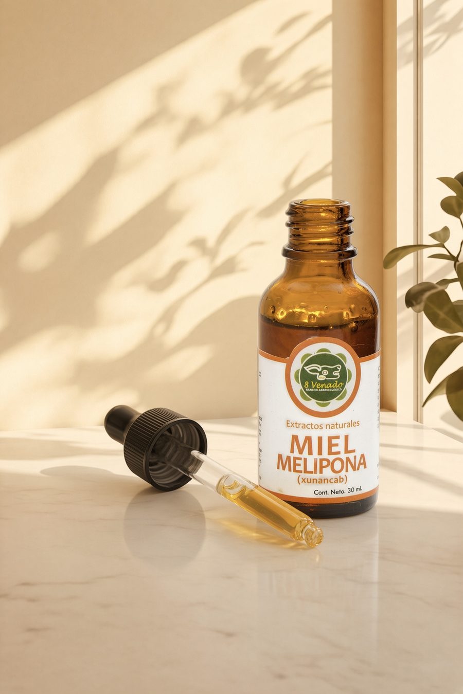 Miel melipona pura