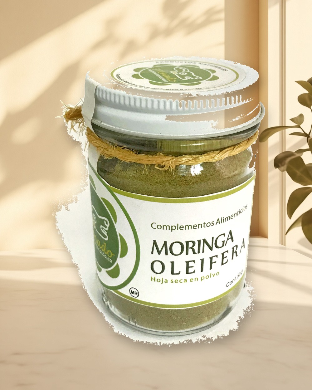 Moringa en polvo