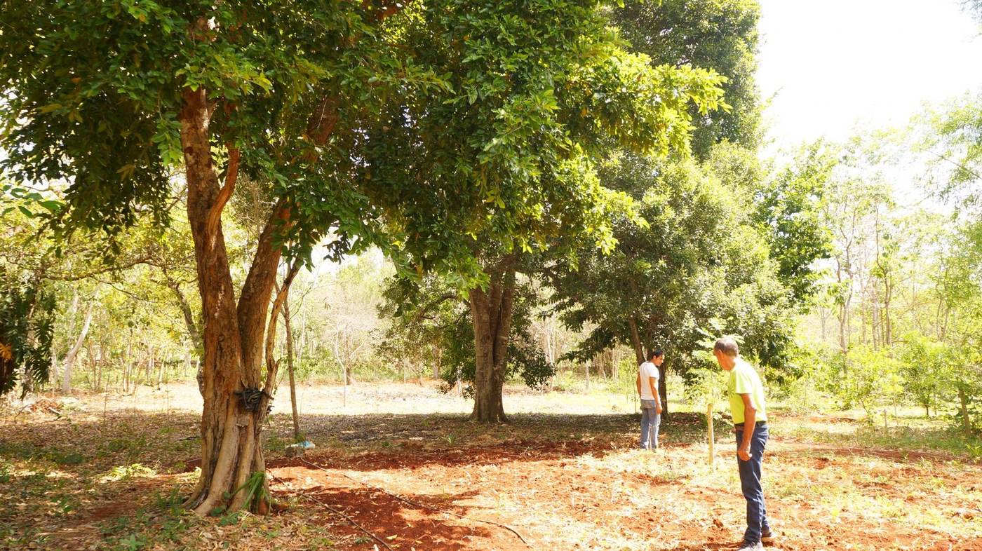 Sitio para acampar
